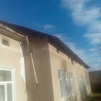 На Борщівщині у дитячому садку виявили небезпечних комах