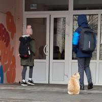 Біля однієї однієї з тернопільських шкіл з’явився незвичайний вахтер (Фото)