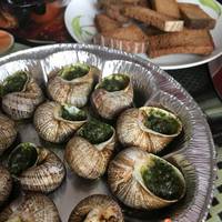 За делікатесом на Кременеччину – равлики мають шалений попит (фото)