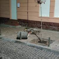 Дерево зламав п`яний чоловік, який ледь стояв на ногах: що вночі відбувалося на Чорновола. ФОТО