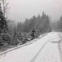 Зима: Карпати засипало снігом (Фото)