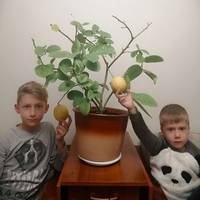 11-річний Тарас Левунь із Тернополя вирощує екзотичні рослини