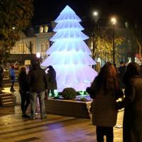 Тернополян просять не нищити 