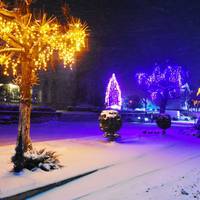 У місті Кременець запанувала святкова новорічна атмосфера (фото)