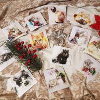 У Тернополі збирають кошти для безпритульних тварин