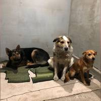 У Теребовлі власники кафе зважилися на добру справу