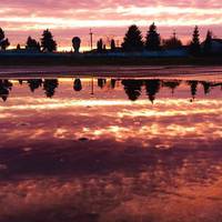 У мережі показали фото куточка Тернопільщини, від якого захоплює подих