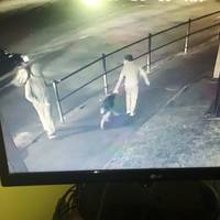 Хлопчик ромської національності вкрав з подвір'я вівчарку. Фото