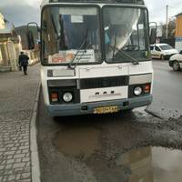 Не зупинився дітям, принизив інваліда: люди скаржаться на хамовитого водія маршрутки