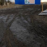 Газон біля тернопільського 