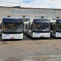 До Тернополя прибув перший десяток нових автобусів