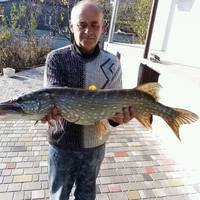 У Підгайцях чоловік спіймав величезну рибину (Фото)