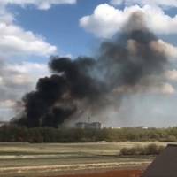 Пожежа біля Тернополя: горить Чистилівський заказник (ФОТО, ВІДЕО)