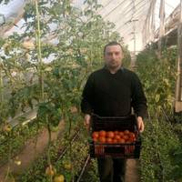 Житель Тернопільщини вирощує овочі і квіти за унікальною технологією