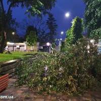 Негода наробила збитків в центрі Тернополя