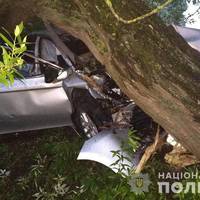 “Тойота” в’їхала у дерево: на Тернопільщині у ДТП загинув пасажир (ФОТО)