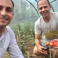 На Тернопіллі вирощують органічні овочі для вихованців місцевих інтернатів