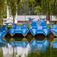 На Тернопільському ставі курсують катамарани-дельфіни