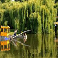 У Тернополі почали комплексно очищати Став