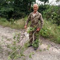 71-річний мешканець Тернопільщини прийшов розчищати узбіччя дороги (фото)