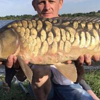 “Ледве в руках втримав!”, – борщівчанин зловив велетенську рибу