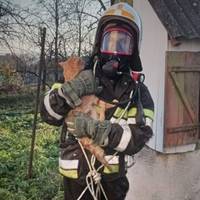 На Тернопільщині врятували кота, який впав у 30-метровий колодязь
