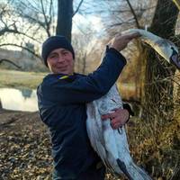 На Тернопільщині врятували лебедя (ФОТО)