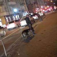 У центрі Тернополя чоловік жорстоко поводився з собакою (ФОТО)