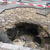 У центрі Тернополя дерево провалилося під асфальт
