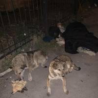 У Тернополі посеред вулиці помирала жінка