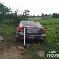 У Тернопільській області нетверезий водій збив двох дітей: фото