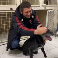 Їй 18 років, а може, й більше: зворушлива історія найстаршої в Україні собаки Тяпи без лапи та її янгола-охоронця