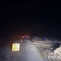 Смертельна аварія на Борщівщині: жінка на Жигулях збила двох пішоходів