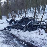Чоловіка, який викинув купу сміття у лісі, змусили прибрати