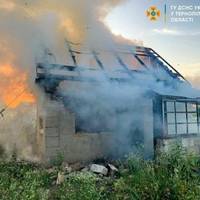 На Тарнавського згоріла ще одна дача (фото)