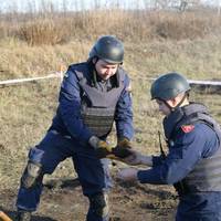 В селі Оришківці знайшли снаряд та гранату