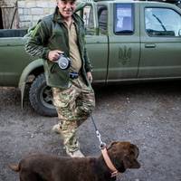 Військовий з Тернополя врятував собаку, якого господарі покинули помирати