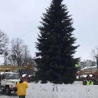 У Львові встановлять різдвяну ялинку - мер міста Андрій Садовий