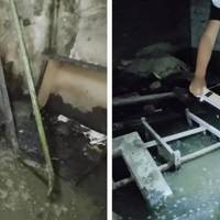 Плавають щурі і води «по коліно»: тернополяни показали, що коїться у підвалі