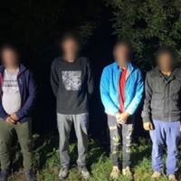 Військовозобов’язані намагаються незаконно перетнути кордон України – до Румунії намагався втекти ухилянт з Тернопільщини