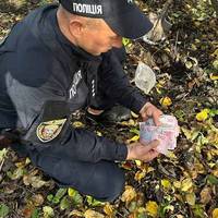 Кременецькі правоохоронці перекопали город пенсіонерки, щоб знайти її заощадження