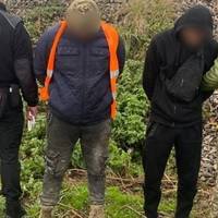 На Закарпатті тернополяни намагалися незаконно перетнути кордон