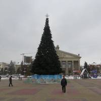 Попри суперечки та хвилю хейту в Тернополі встановили головну ялинку