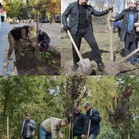 Зелений двір: у Тернополі постійно висаджують нові дерева, згідно стратегії відновлення прибудинкових територій