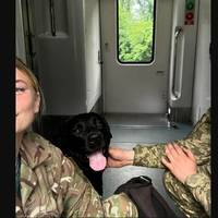 «Або їдь у тамбурі, або висаджу з потяга»: військова поділилася історією поїздки з собакою