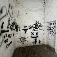 На Тернопільщині малолітні вандали своїми 
