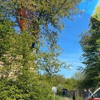 У Кутківецький ліс викликали дві бригади «швидкої»: там знайшли непритомних підлітків