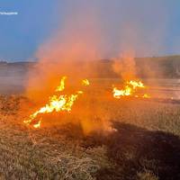 На Тернопільщині чоловік підпалив поле: його розшукали і покарали