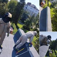 У Тернополі з дитячого садочка рятувальники зняли бджолине гніздо. Фото