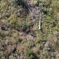 В полі на Тернопільщині знайшли тіло пенсіонера, який зник безвісти 10 днів тому